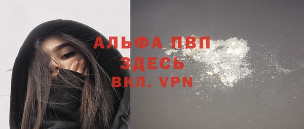 ГАЛЛЮЦИНОГЕННЫЕ ГРИБЫ Белокуриха
