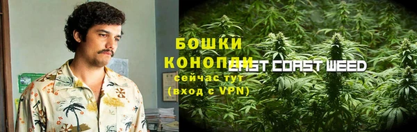 ГАЛЛЮЦИНОГЕННЫЕ ГРИБЫ Белокуриха