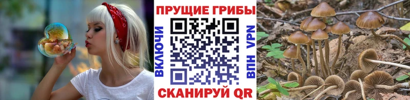 Галлюциногенные грибы мухоморы Валуйки