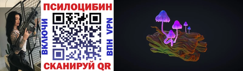 купить закладку  Валуйки  Псилоцибиновые грибы GOLDEN TEACHER 