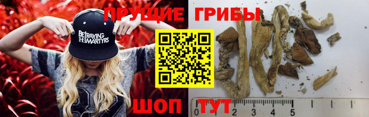 Галлюциногенные грибы Magic Shrooms  Вход с VPN  Валуйки  наркошоп  Галлюциногенные грибы мухоморы 