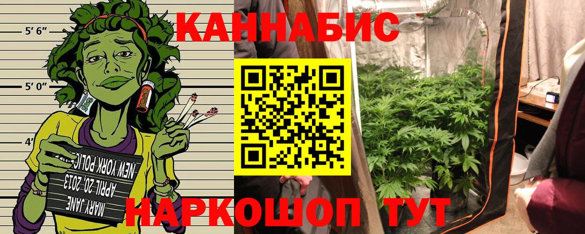 Валуйки  Бошки Шишки LSD WEED  Вход с VPN  Канабис сатива  Бошки марихуана Bruce Banner 